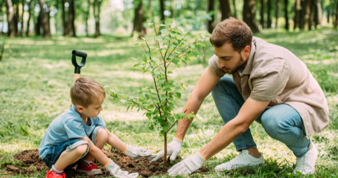 Could Atmosphere CO2 Levels be Reduced by Planting Trees?