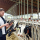 Carbon Dioxide Monitoring in Dairy Farms - CO2 Meter