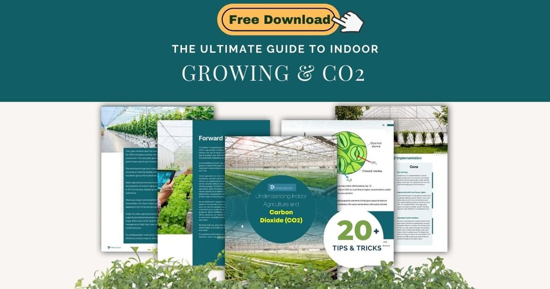 Understanding Indoor Agriculture and Carbon Dioxide - CO2 Meter