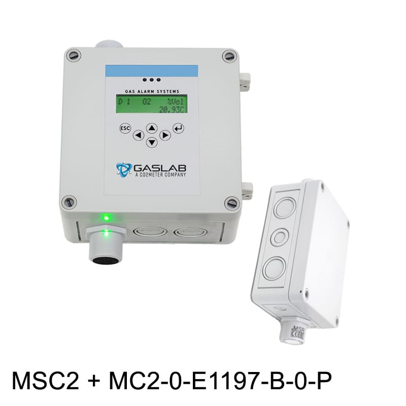 Hydrogen Sulfide (H2S) Fixed Gas Detector w/ Remote Sensor (0-100ppm)