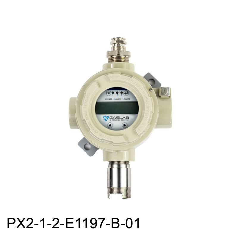 Hydrogen Sulfide (H2S) Combustible Fixed Gas Detector (0-100ppm)